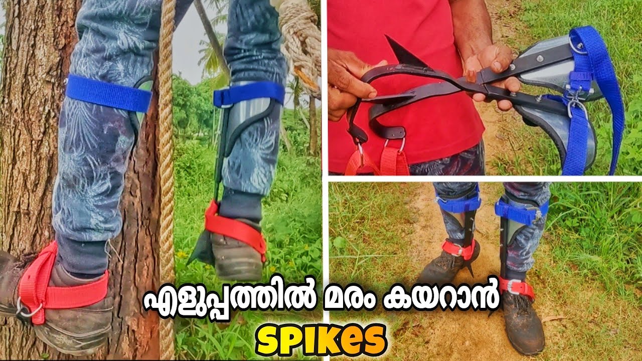 മരം കയറാൻ ഒരു കിടിലൻ Tool 😲🤩 | Spikes | Easy tree climbing tool | 9645599324/Village woodpecker
