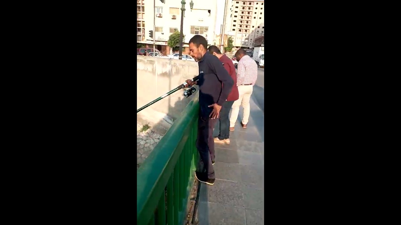 صيد سمكة بياض بطريقة تشميط The hunter of Egypt