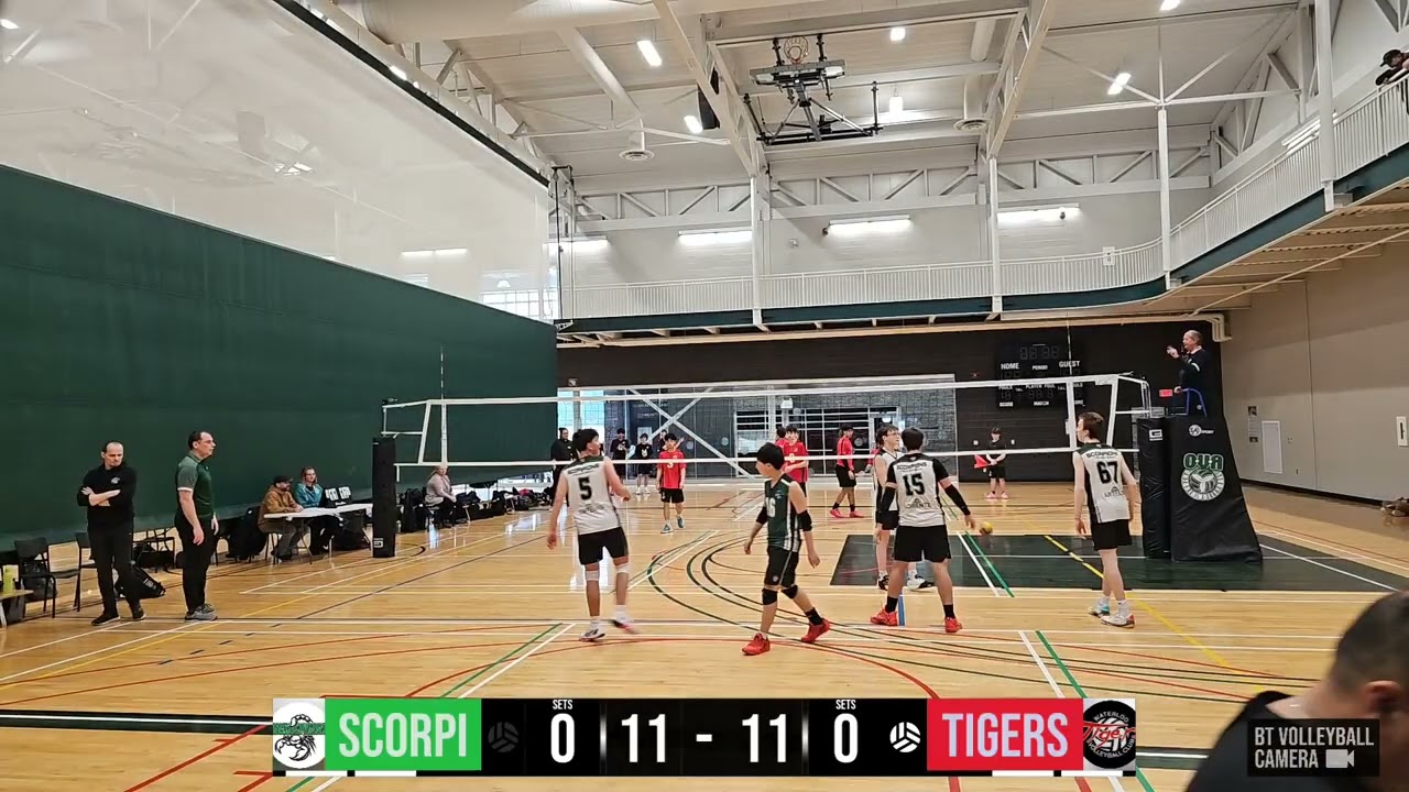 Scorpions Heat vs Tigers Abyss Bugarski Cup 2/28