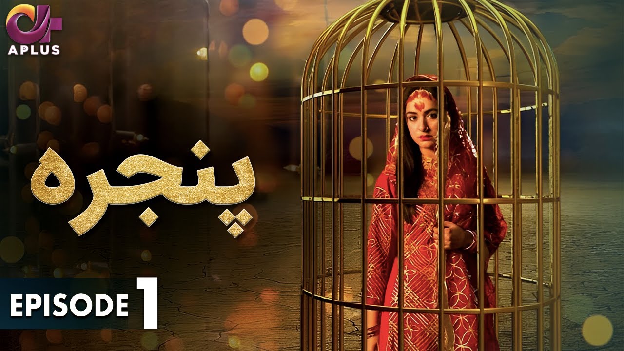 Pakistani Drama | Pinjra - Episode 1 | Aplus Gold | Yumna Zaidi, Nauman Aijaz | CZ2O