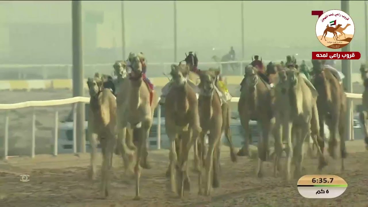 الشوط 10..  جدير لـ عبدالله شاكر زيد العبدلي الشريف  9:05:74 (*مهرجان الامير الوالد 2026* )
