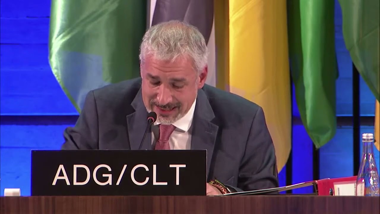 16th session of the Intergovernmental Committee - p19part1