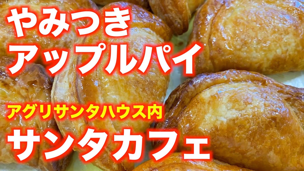 「サンタカフェ」【宮城】やみつき アップルパイ（宮城郡利府町）#サンタカフェ