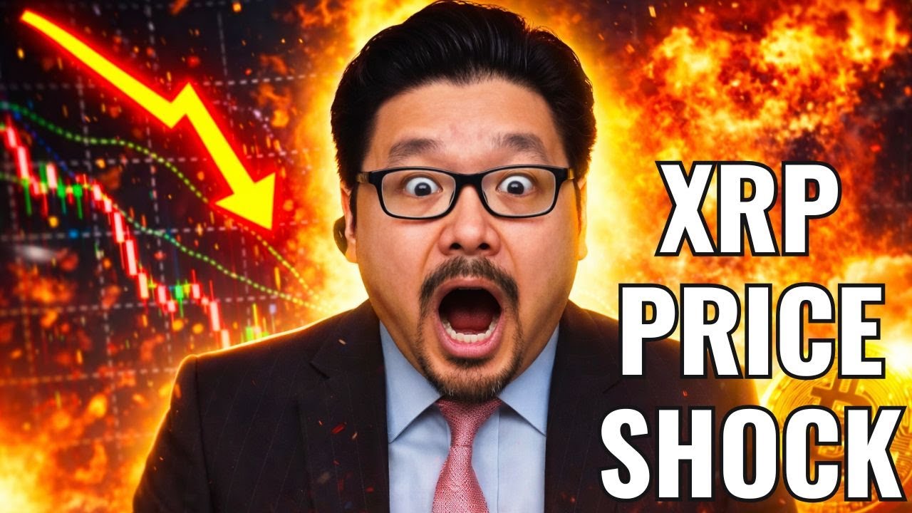 David Just LEAKED XRP’s True Price