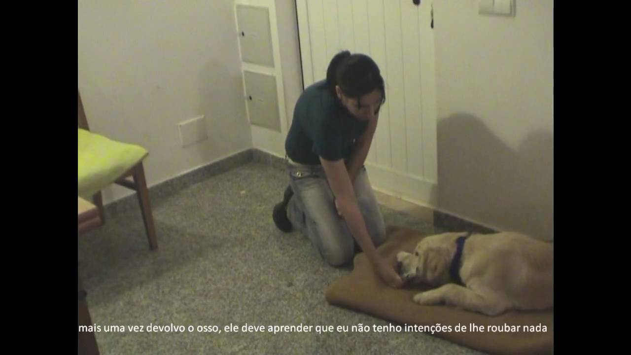 Blue agressividade por possessão