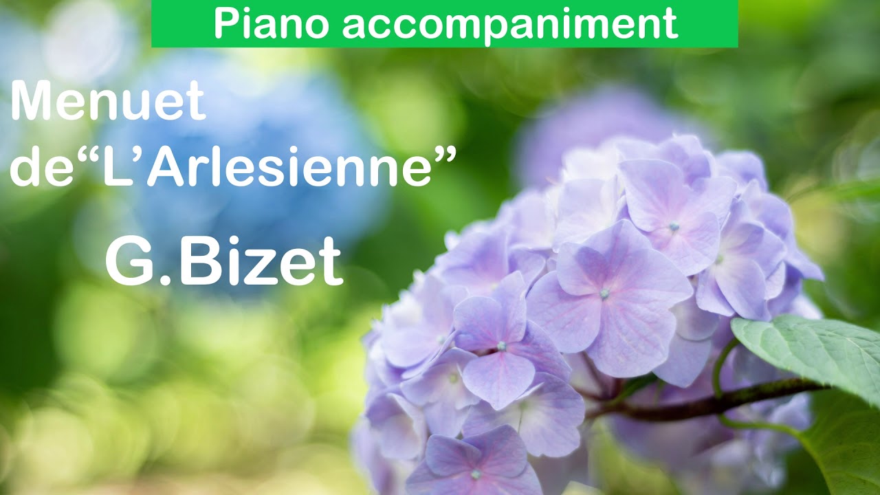 Menuet  de L'Arlésienne accompaniment /G.Bizet