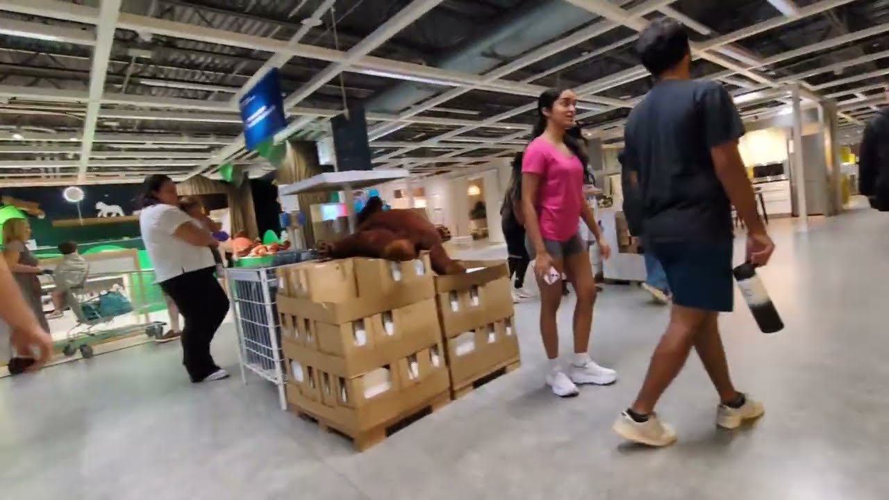 IKEA Orlando Florida Tour