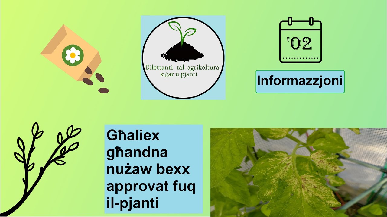 Għaliex għandna nużaw bexx approvat fuq il-pjanti