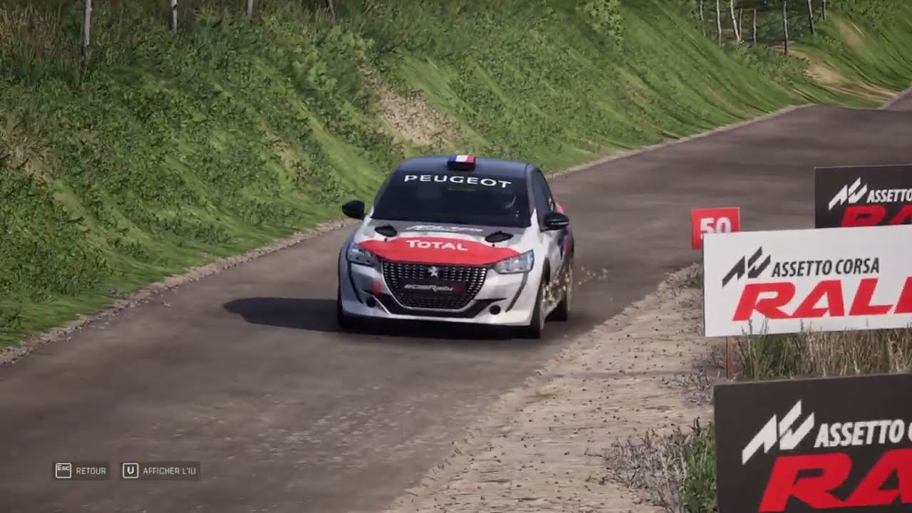 Assetto Corsa Rally World Record - Sommet de Munster - 208Rally4