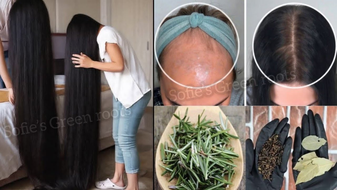 تطويل الشعر بجنون بدون غسل وصفة هندية لتكثيف الرموش والحواجب✨️