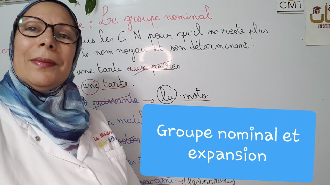 Grammaire soutien:Le groupe nominal.7exercices progressifs avec explication et correction détaillées