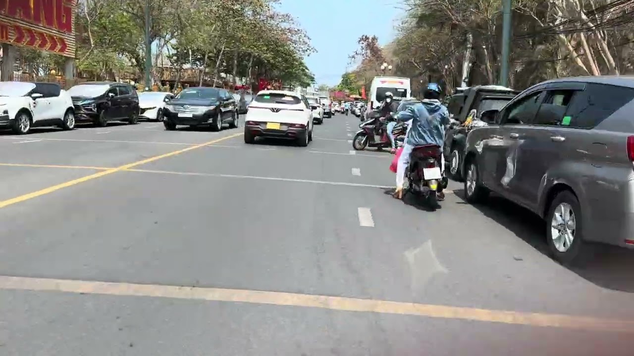 Dạo biển cùng Leo nhé 