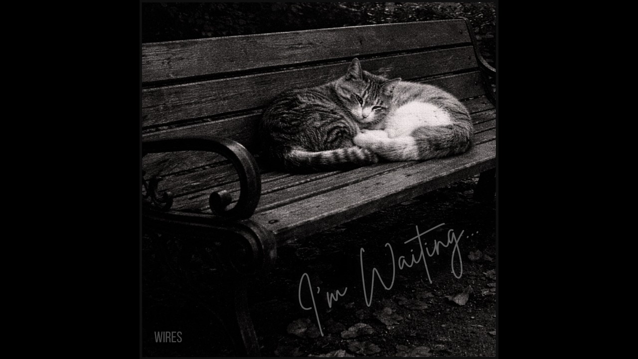 WiRES - I'm Waiting...