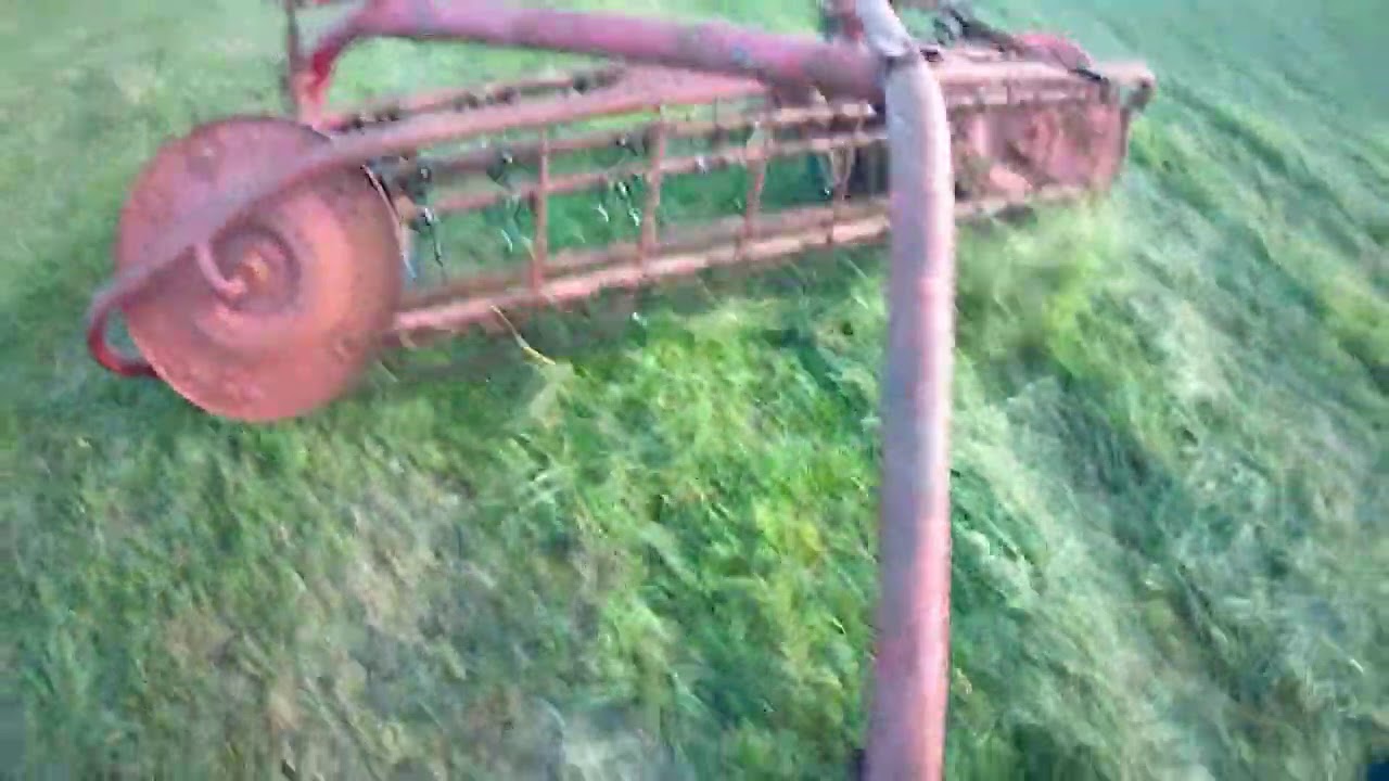 How To Rake Hay (For Beginners)