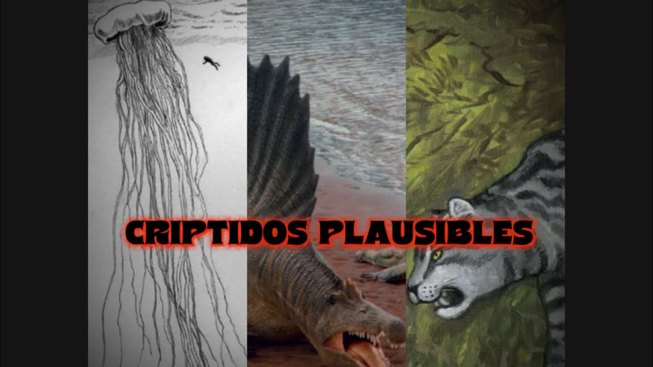 Entre la LEYENDA y la REALIDAD: TOP 6 CRIPTIDOS m&aacute;s PLAUSIBLES 🪼🦖🐅 | Parte 1