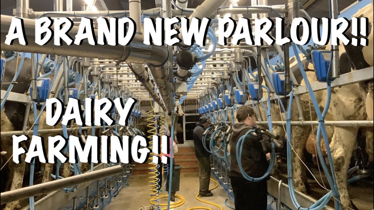 BRAND NEW PARLOUR! DAIRY FARMING!!