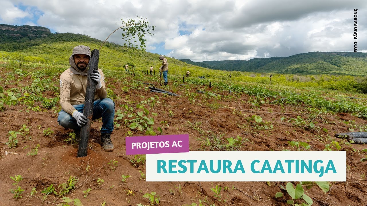Restaura Caatinga