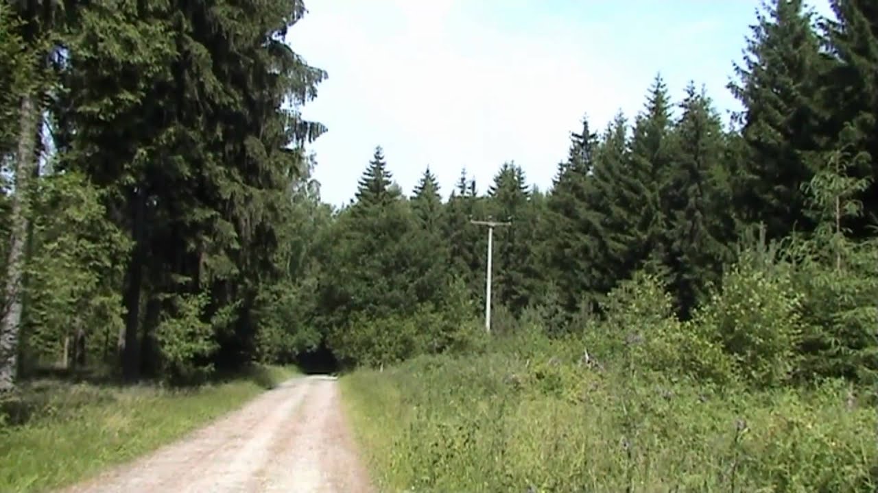 Deutschland - Tharandter Wald