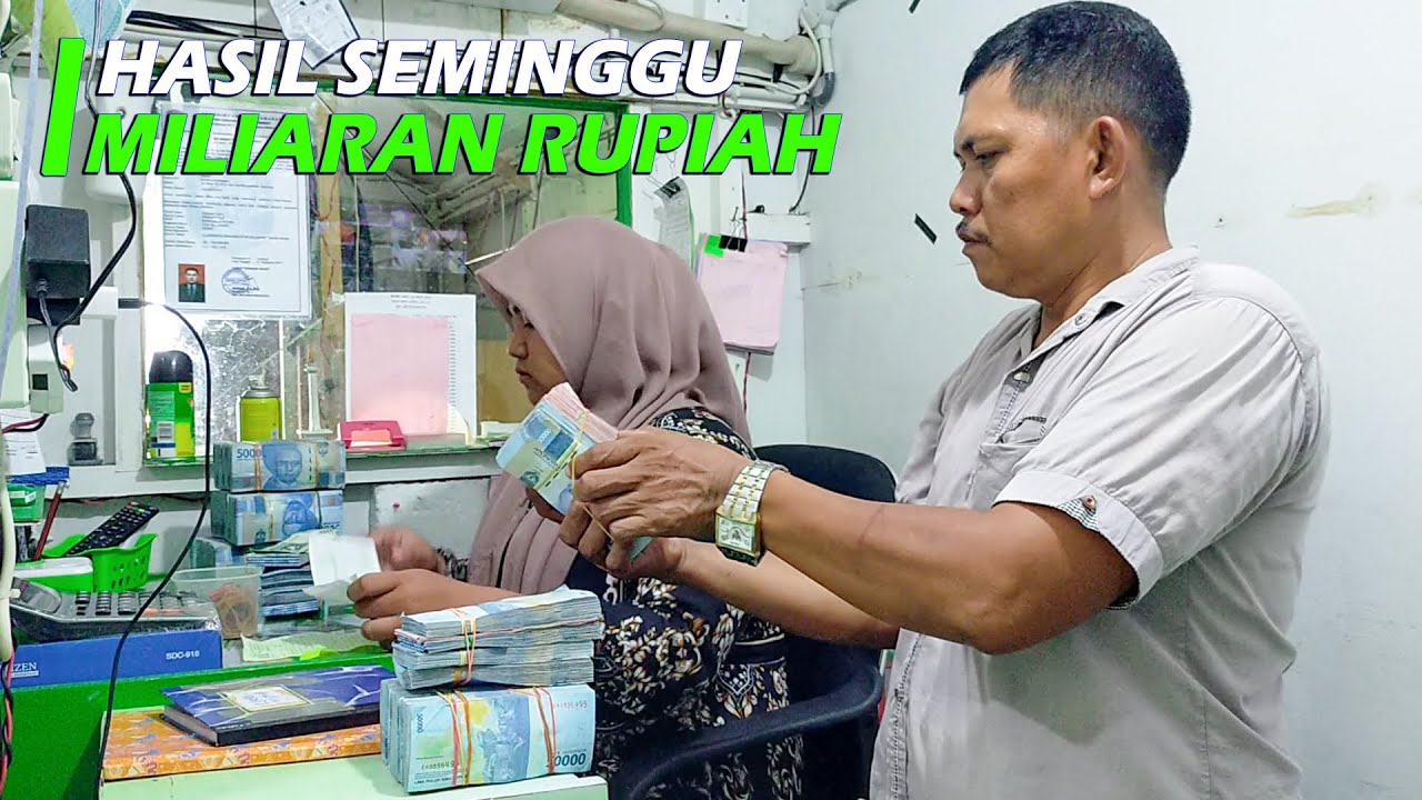 Seminggu Menghasilkan Miliaran Rupiah dari Udang Tambak Tradisional