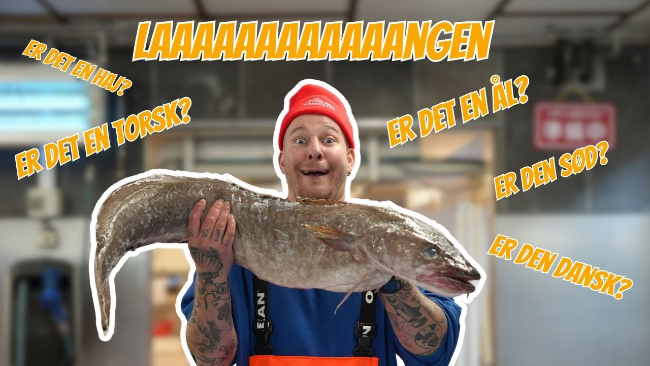 Kæmpe stor HAVÅL eller??