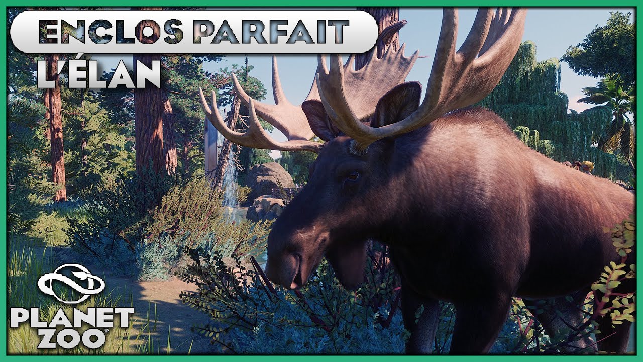 Les &Eacute;lans (Ou Orignal) | LES ENCLOS PARFAITS : EPISODE 31 | PLANET ZOO