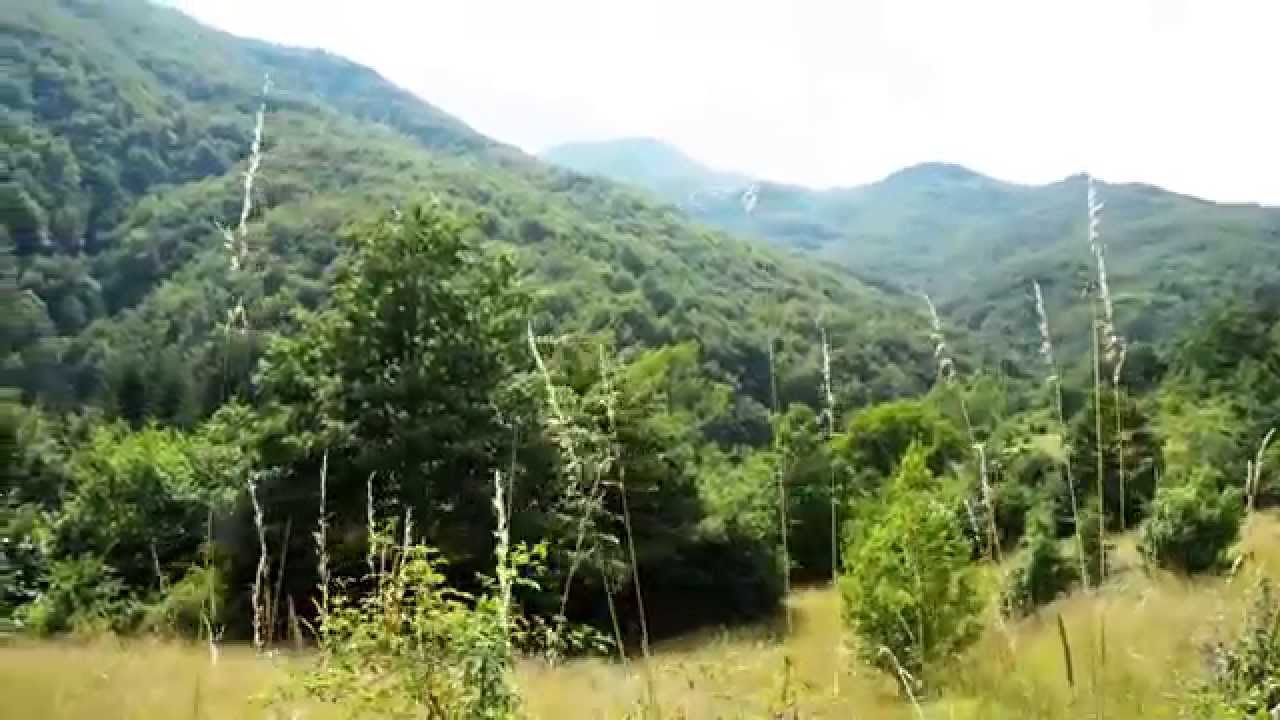 Caseificio Val d'Aveto
