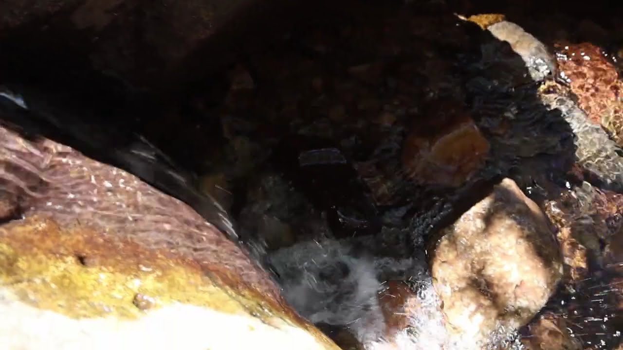 At Ease Hard Worker...