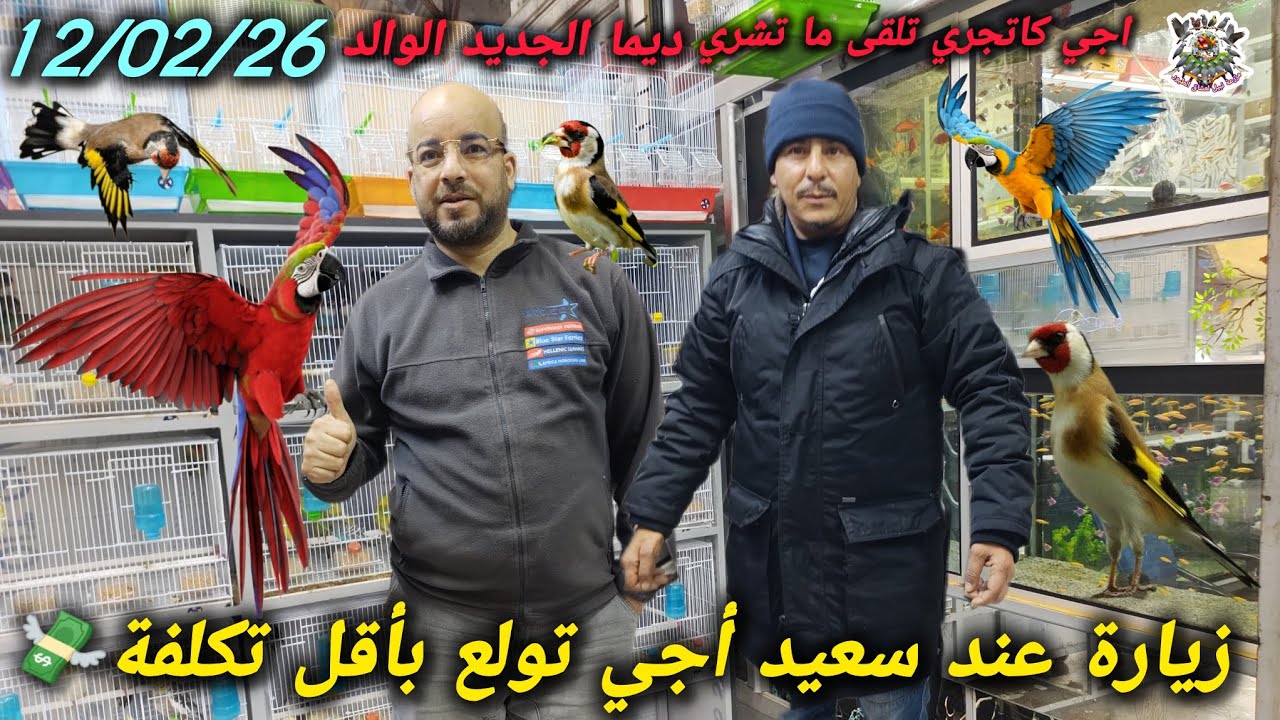 عالم الطيور عند الأخ سعيد همزة اليوم في طيور الكناري الحسون وأسماك الزينة 🦜🐠💰