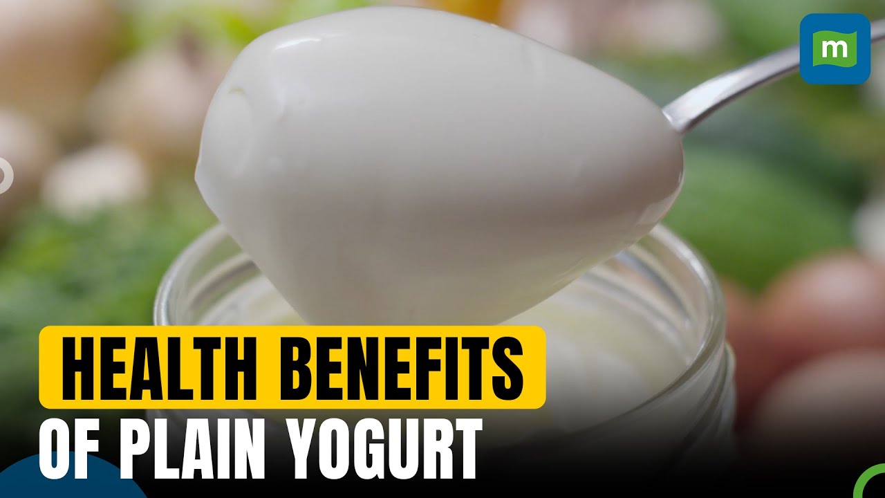 6 Reasons to Include Plain Yogurt in Your Daily Diet | Health Benefits
