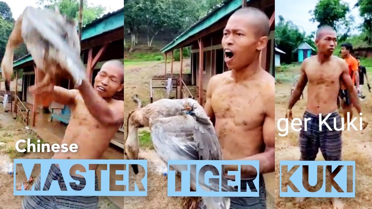 Tiger Kuki Chinese