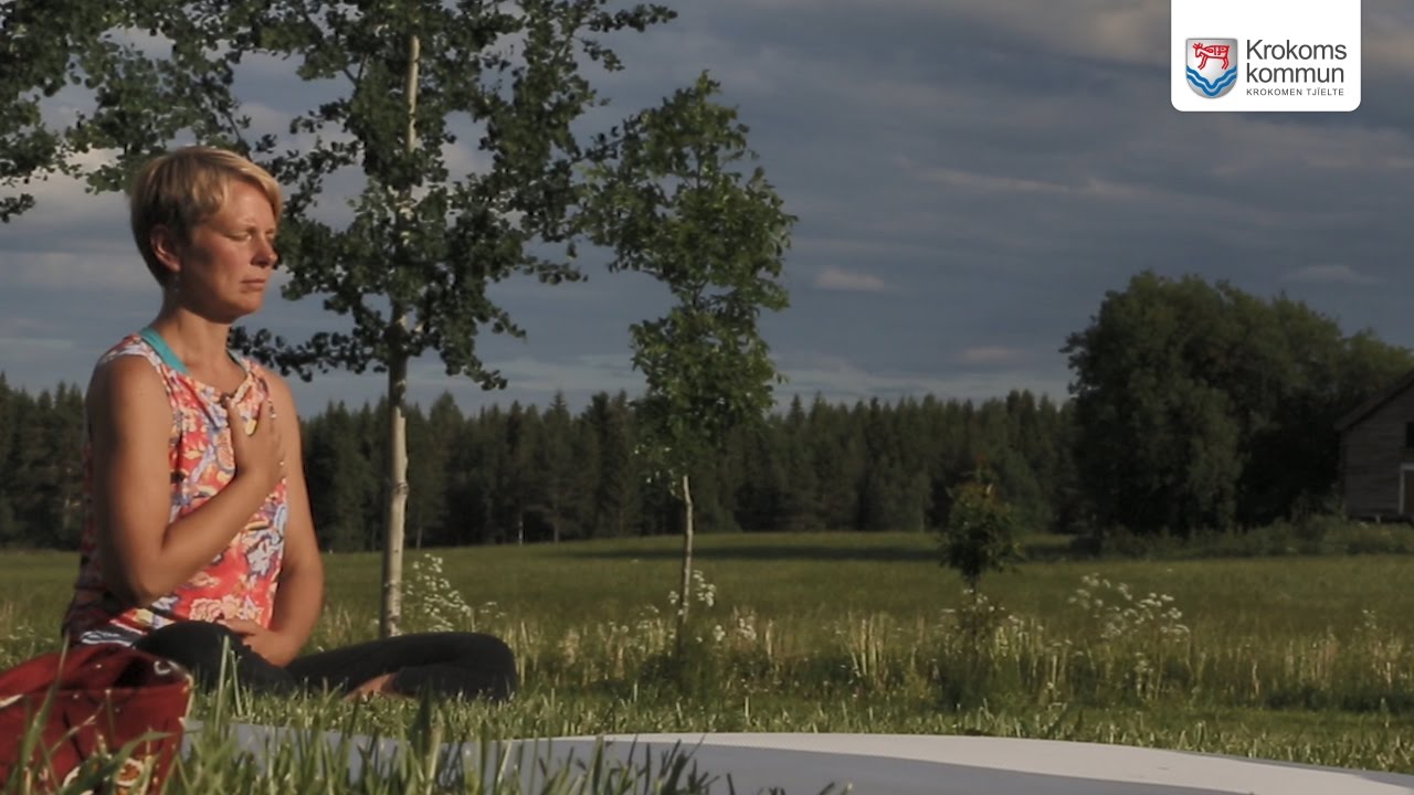 Krokoms kommun - en presentationsfilm