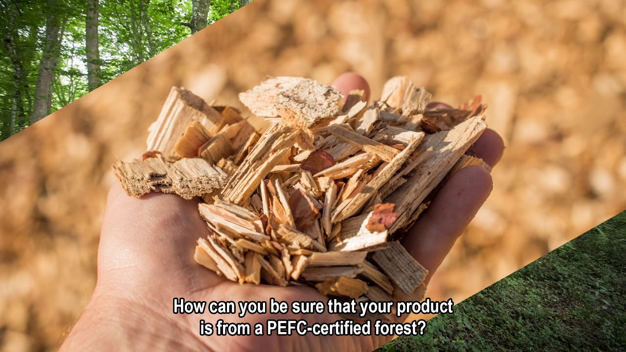 PEFC Traceability Australian NZ Video