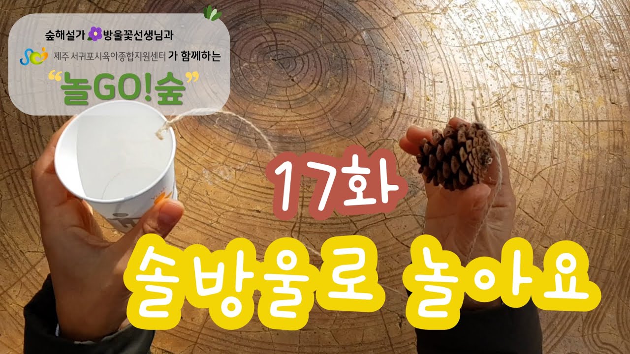 [놀GO!숲] 17화: 솔방울로 놀아요 ㅣ숲체험ㅣ공원놀이ㅣ자연체험ㅣ겨울숲ㅣ자연놀이ㅣ자연친화교육ㅣ제주탐방ㅣ가족ㅣ나들이ㅣ여행ㅣ간단놀이ㅣ육아ㅣ꿀팁ㅣ놀이중심