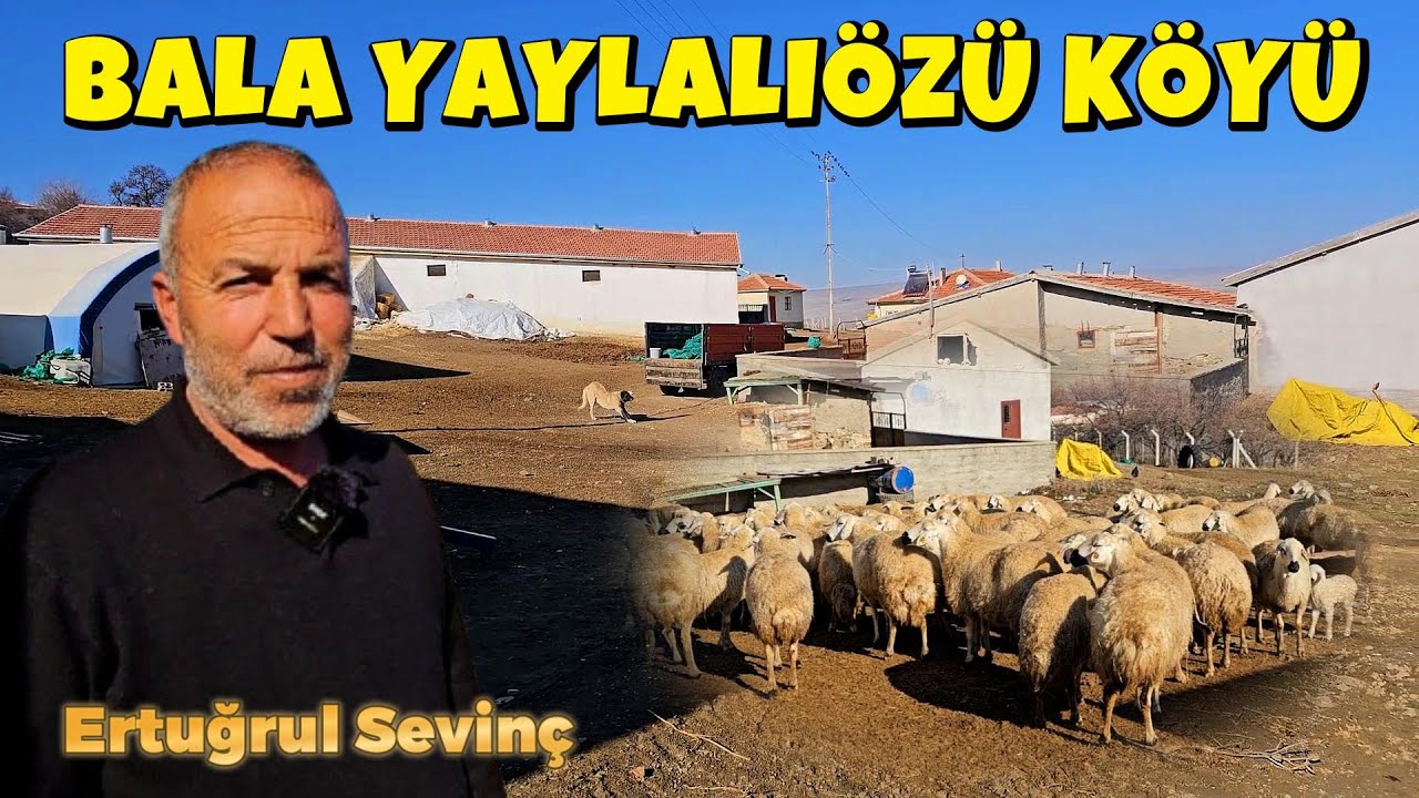 YAYLALIÖZÜ KÖYÜ - ANKARA / BALA