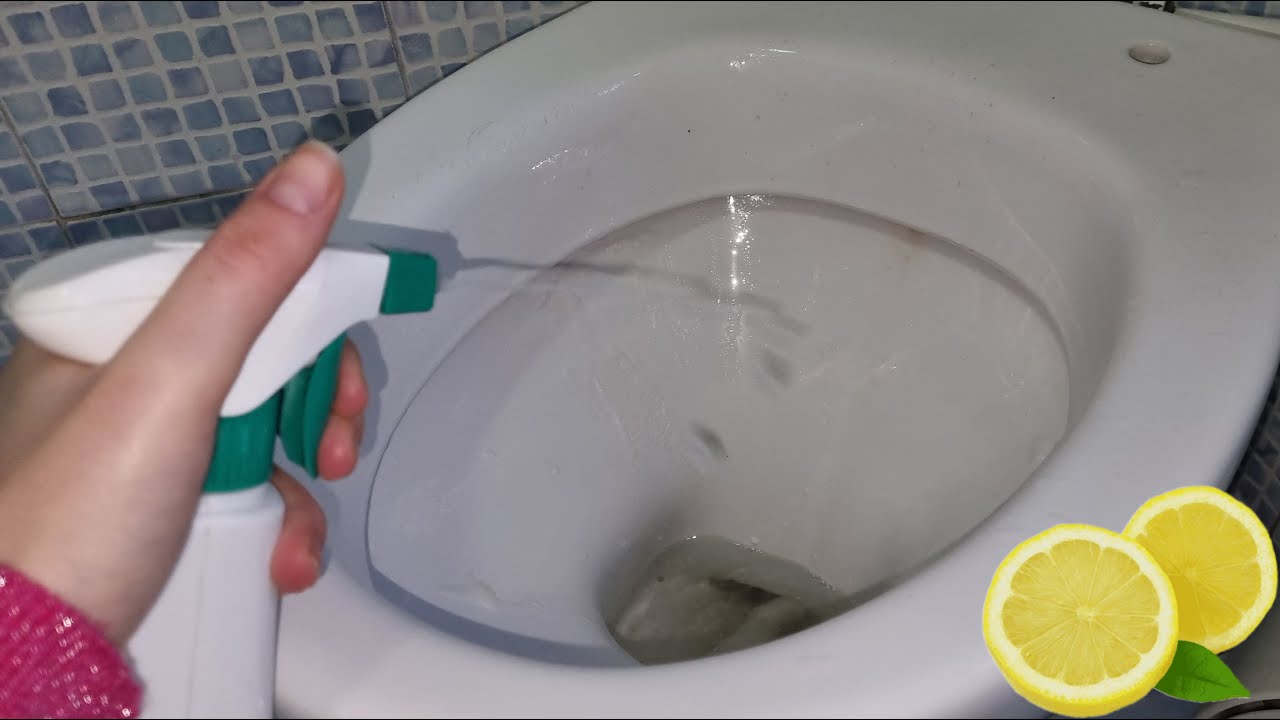 Come pulire e disinfettare il WC usando BUCCE DI LIMONE | MAMMASTYLE.IT |