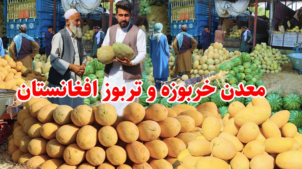 گزارش منصور از مارکیت خربوزه و تربوز، شهر کابل، ارزانی میوه