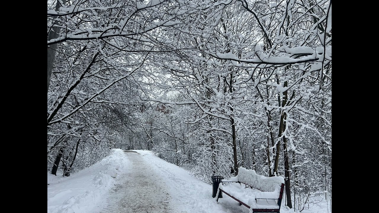❄️ 15 Minute Snowfall Ambience, Deep Sleep, Calm Mind, Relaxing Winter Nature Sounds