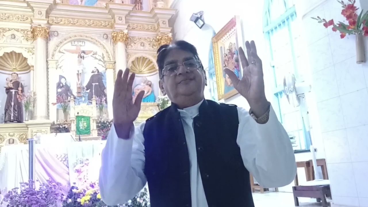 पवित्र मारियेची दर्शने | वेलांक्कनी माता Our Lady of Vailankanni | Fr Solomon Rodrigues