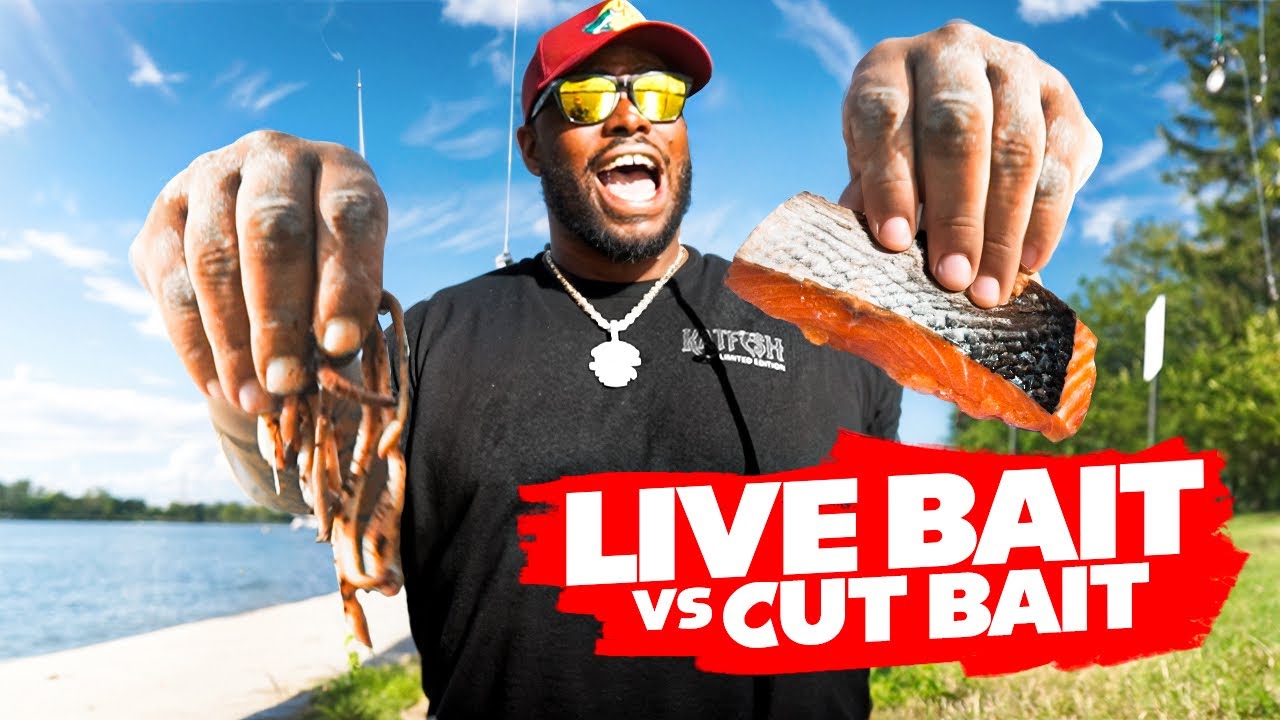 Live Bait VS Cut Bait Catfish Bait Challenge