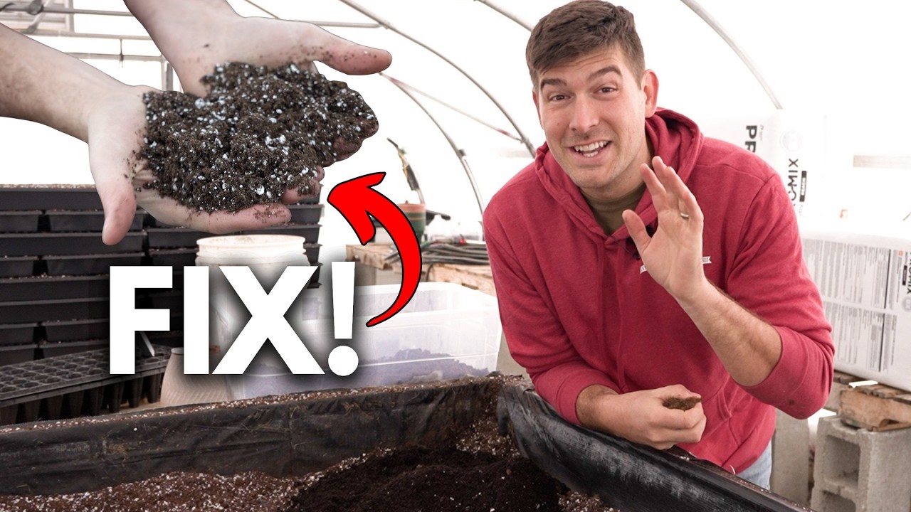 Don't Use Dense Seed Starting Mix - Fix it and Go From Amateur to PRO!