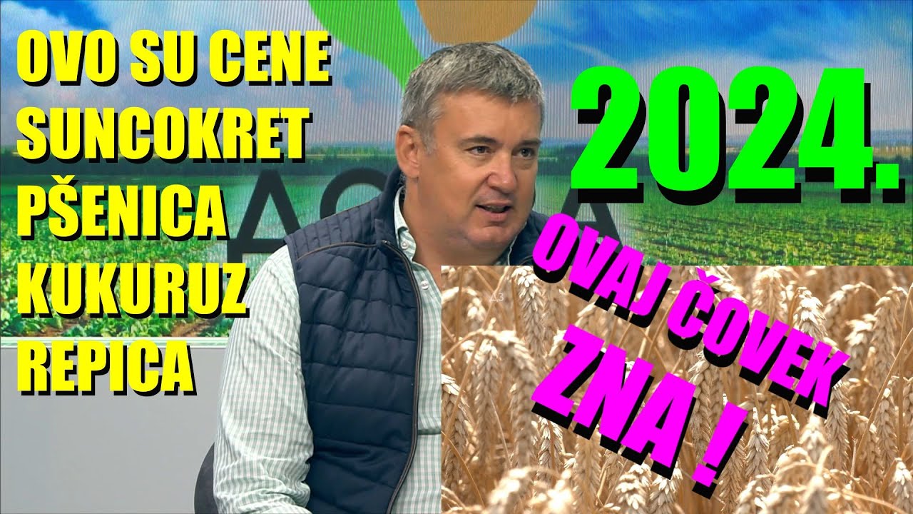 CENE 2024.GODINE PŠENICE KUKURUZA SUNCOKRETA REPICE -  ŠTA ĆE SE DOGADJATI... šta je posledica?