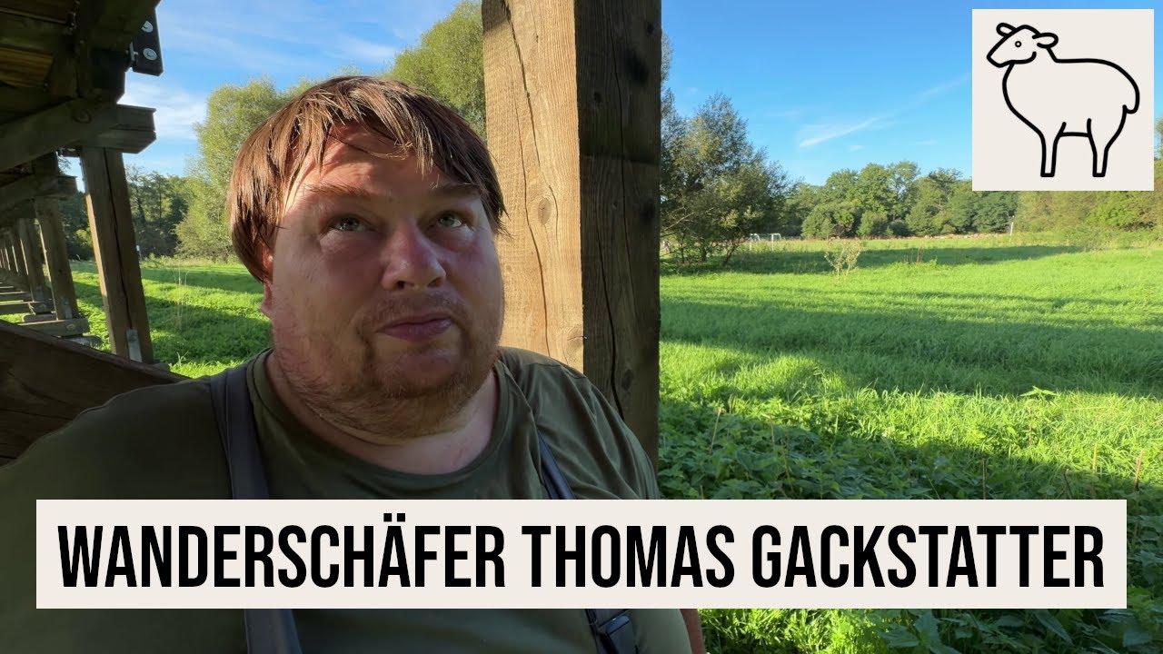 11.08.2024 #Nürnberg Real Talk mit Wanderschäfer Thomas Gackstatter im Naturschutzgebiet #Pegnitztal