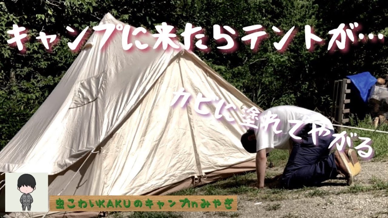 【テントカビ取り】プロ仕様カビ取り侍使ってみた～S'more Bello300～