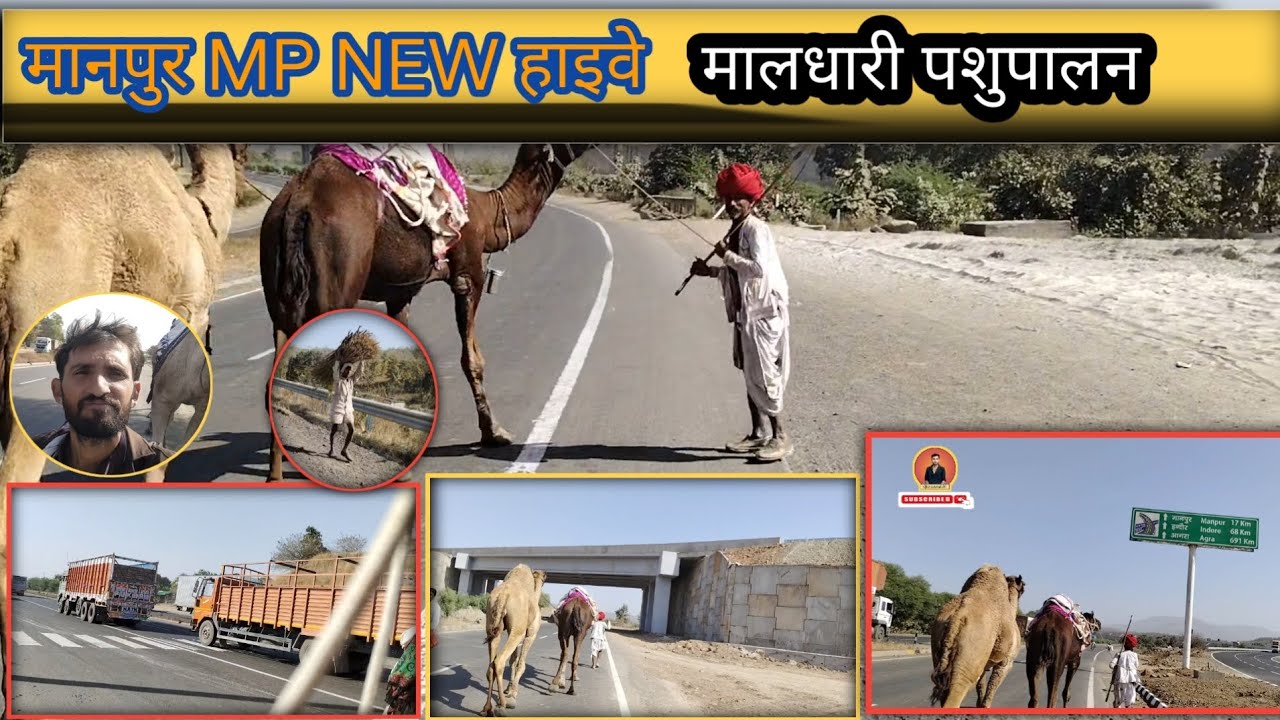 Manpur का new हाइवे  is वीडियो में आपको देखने को मिलेगा MP इंदौर पशुपालन लाईफ 🥰#vijaydewasi02 