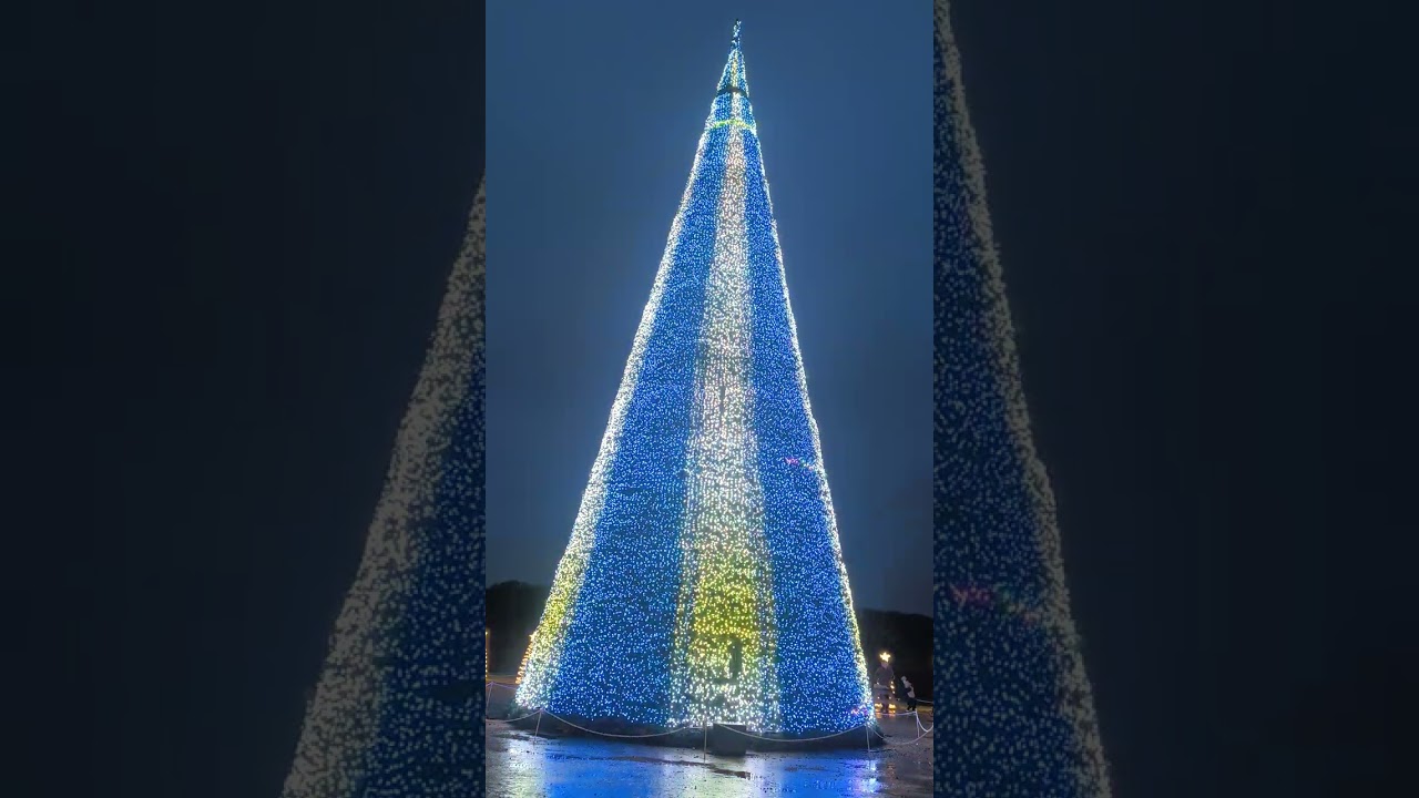 Amazing Longleat Christmas Tree