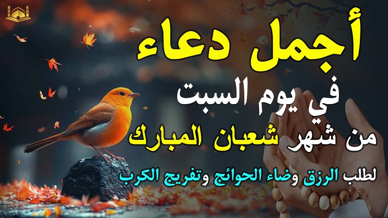 دعاء فى يوم السبت المستجاب دعاء في يوم 26 من شهر شعبان للرزق والشفاء العاجل وقضاء الحوائج 🤲(4k)