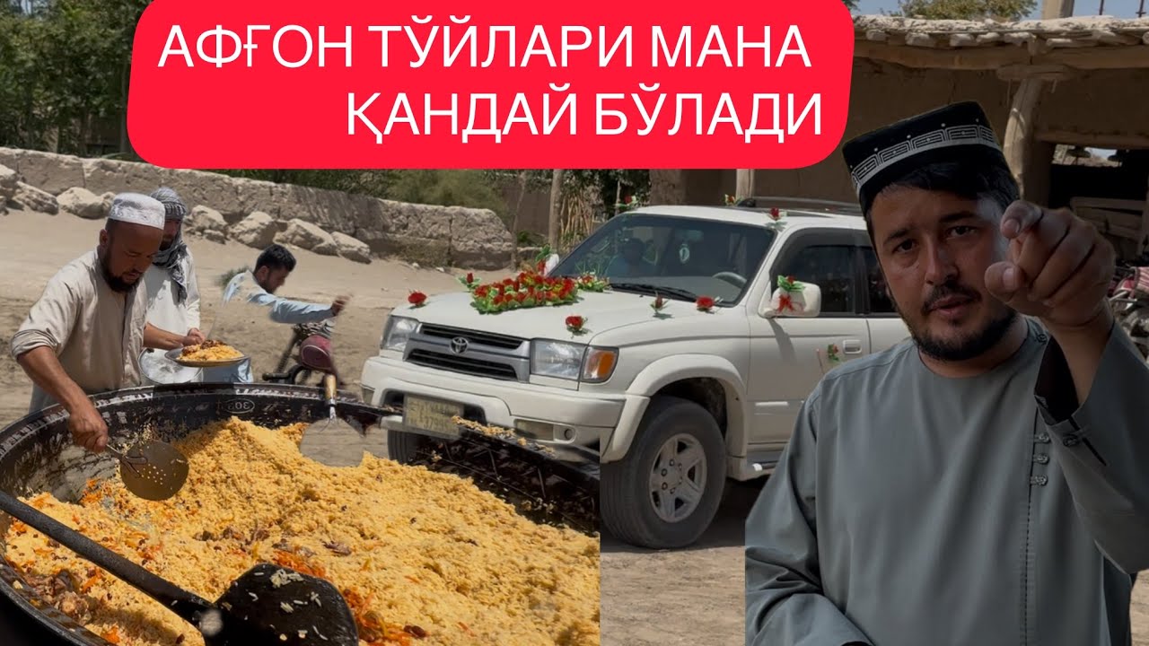 АФҒОН ТЎЙЛАРИ МАНА ҚАНДАЙ БЎЛАДИ