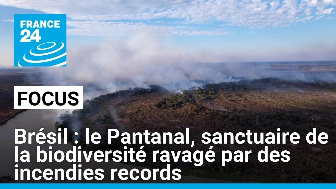 Brésil : le Pantanal, sanctuaire de la biodiversité ravagé par des incendies records