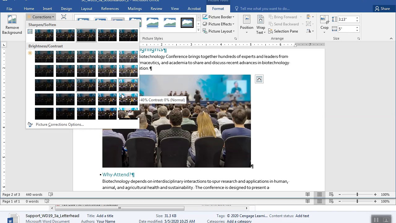 SC Project Word Chp3 Lab 1  - Webcast