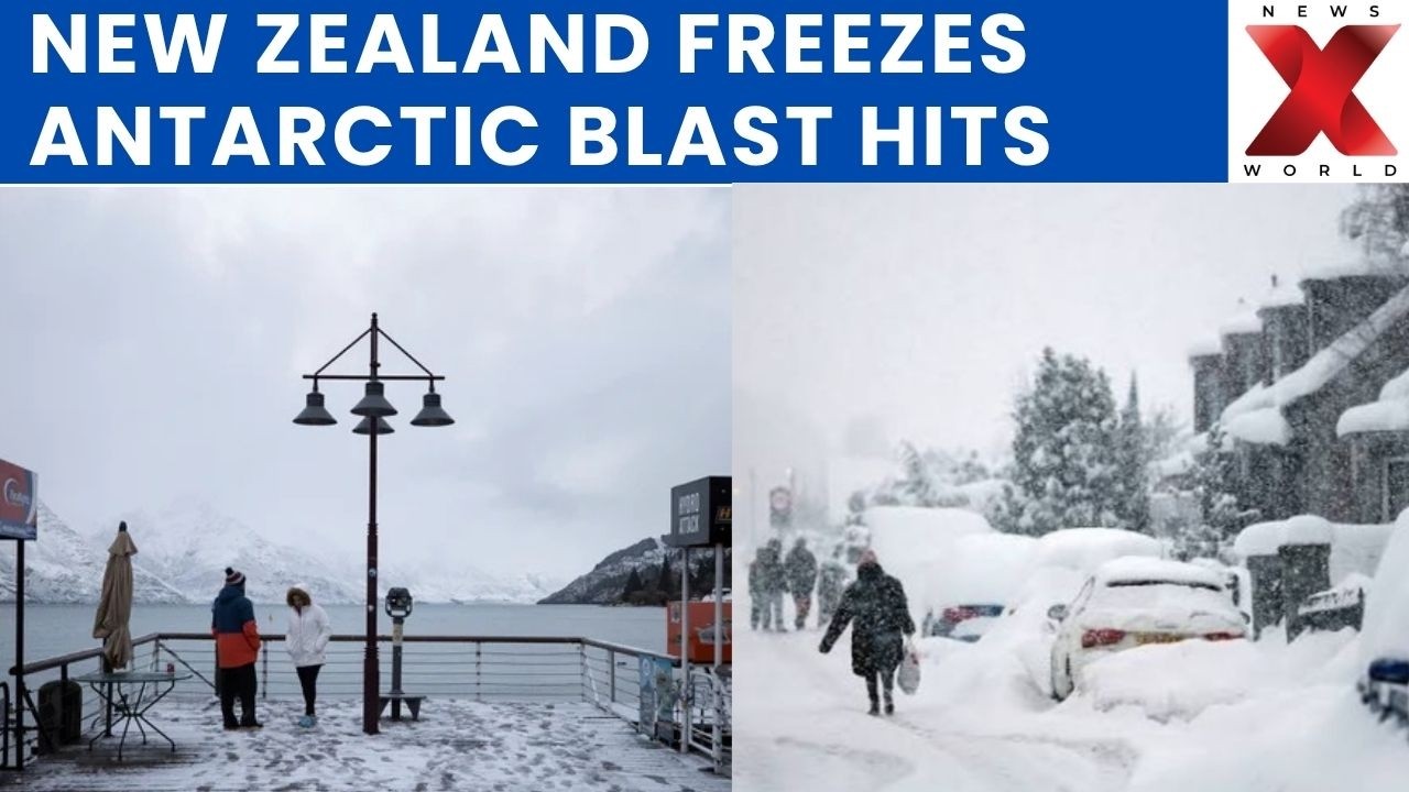 New Zealand Cold Snap Brings Rare Snow To Dunedin, Roads Shut | NewsX World
